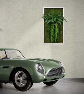 Jungle Vibe