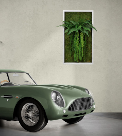 Jungle Vibe