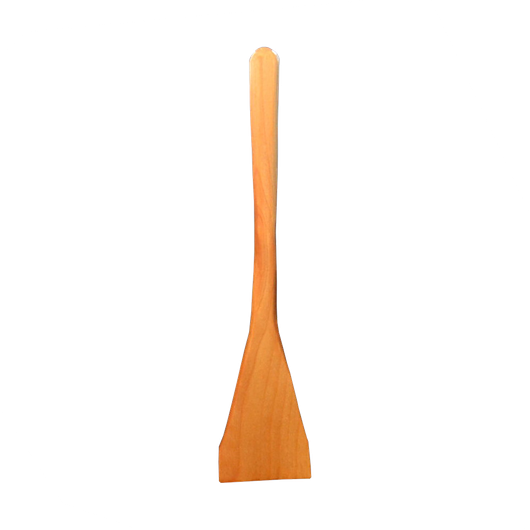 Paistinlasta koivu