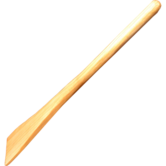 Paistinlasta koivu