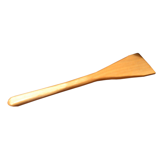 Paistinlasta koivu