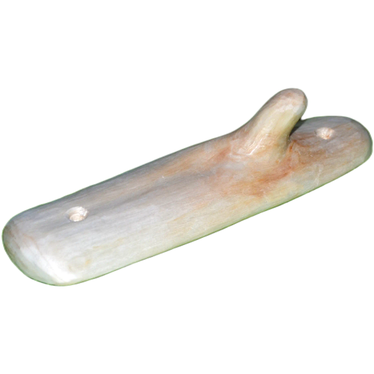 Oksanaulakko koivu