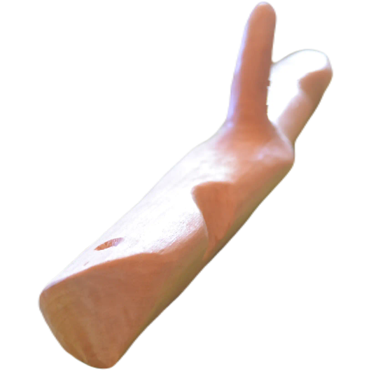 Oksanaulakko koivu